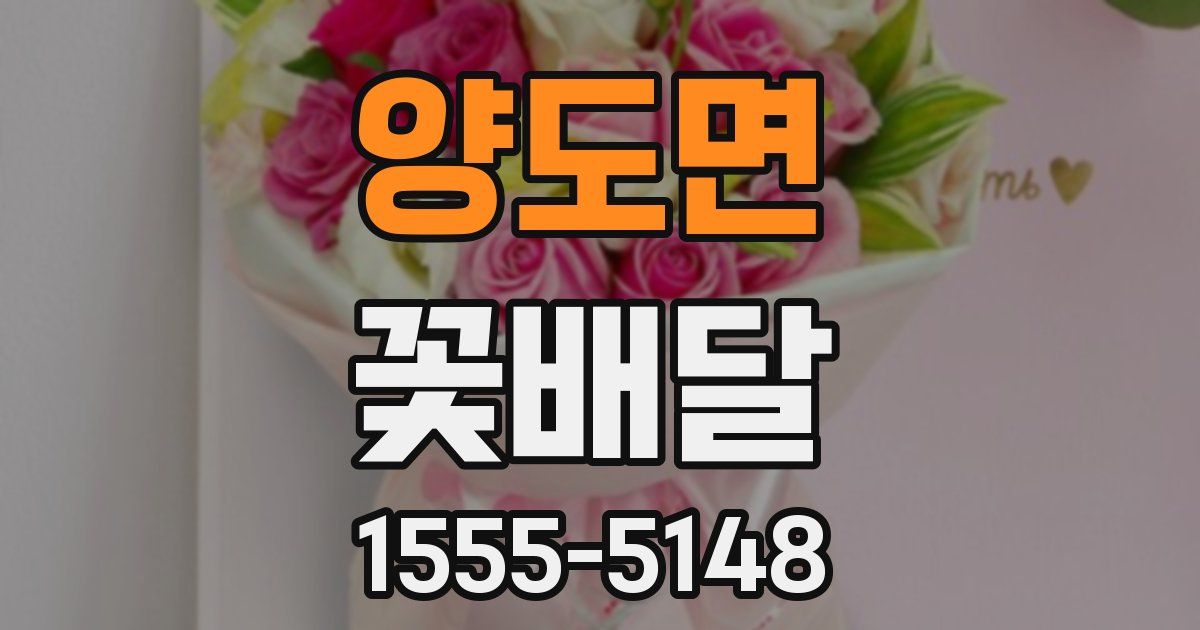 양도면 꽃배달