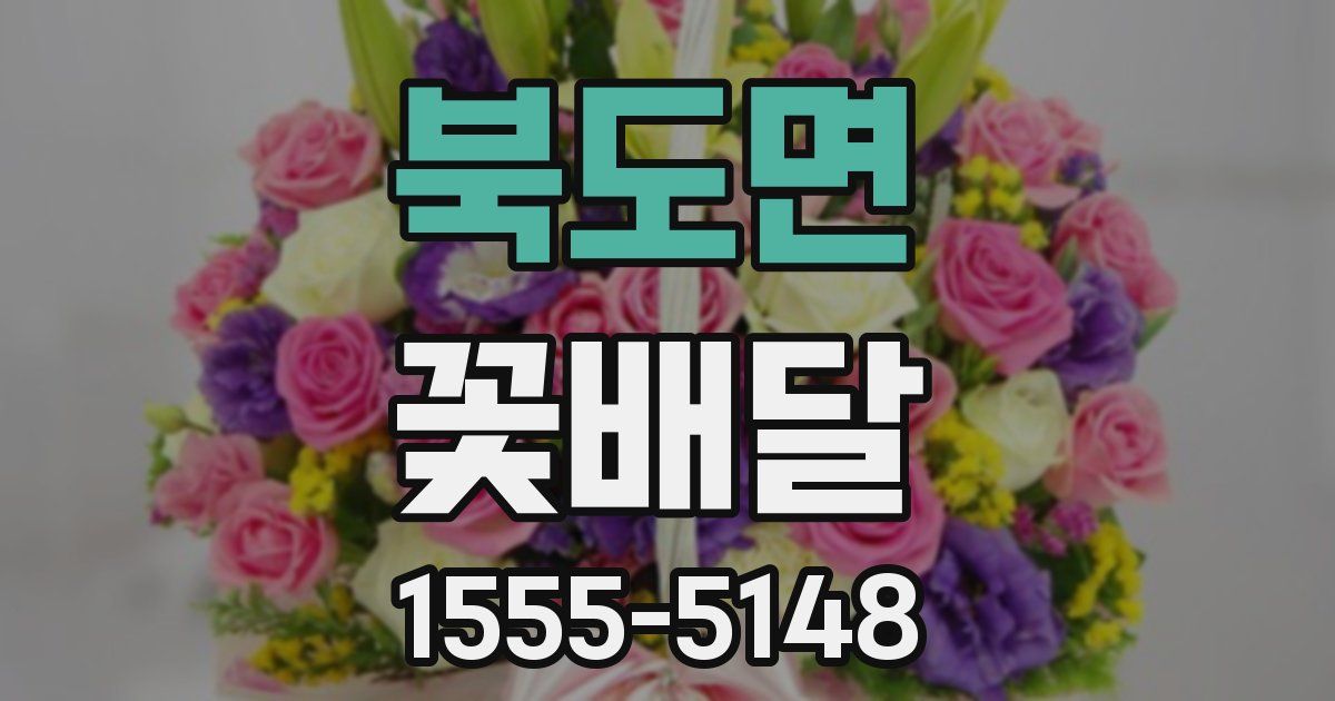 북도면 꽃배달