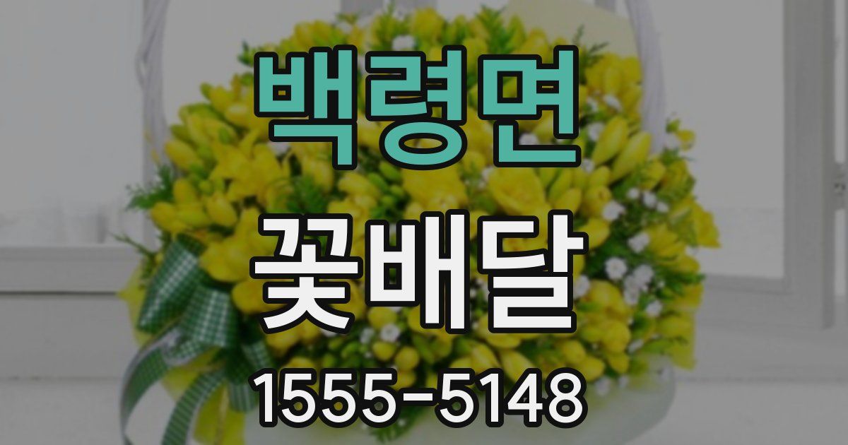 백령면 꽃배달