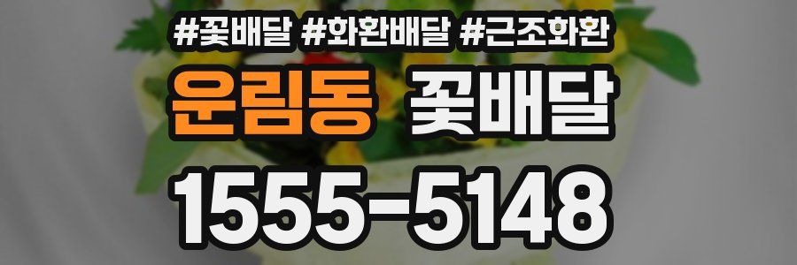 운림동 꽃배달