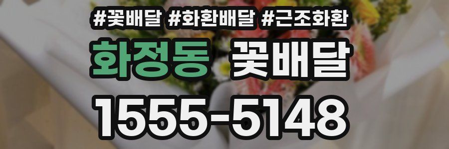 화정동 꽃배달