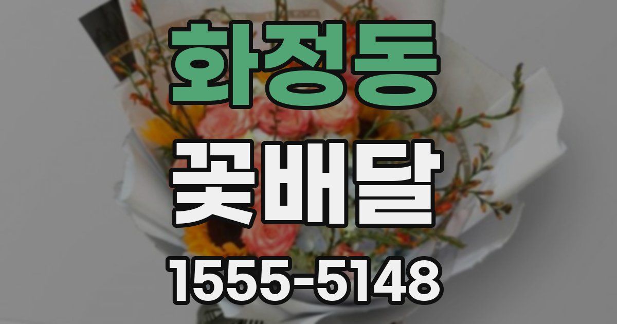 화정동 꽃배달