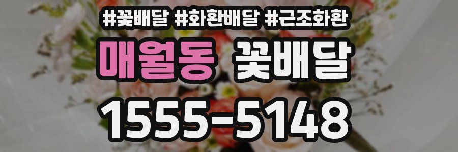 매월동 꽃배달