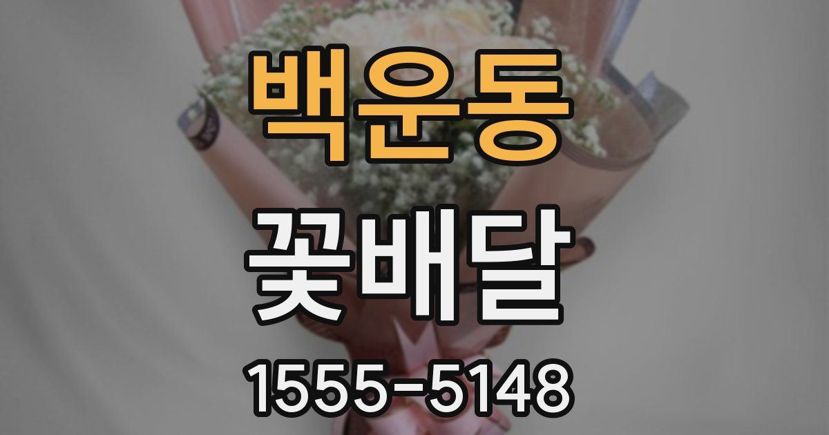 백운동 꽃배달