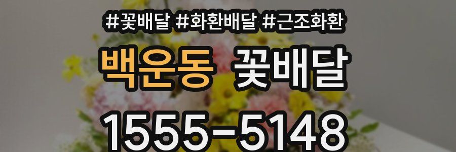 백운동 꽃배달