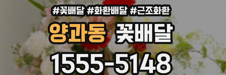 양과동 꽃배달