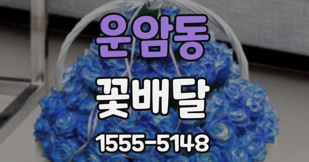 운암동 꽃배달