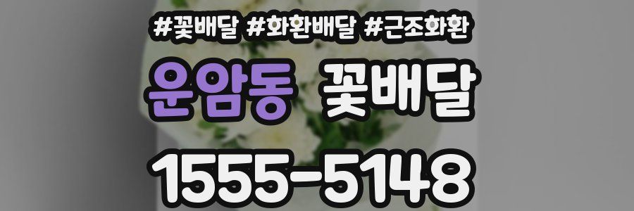 운암동 꽃배달