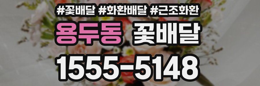 용두동 꽃배달