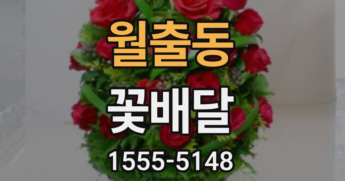 월출동 꽃배달