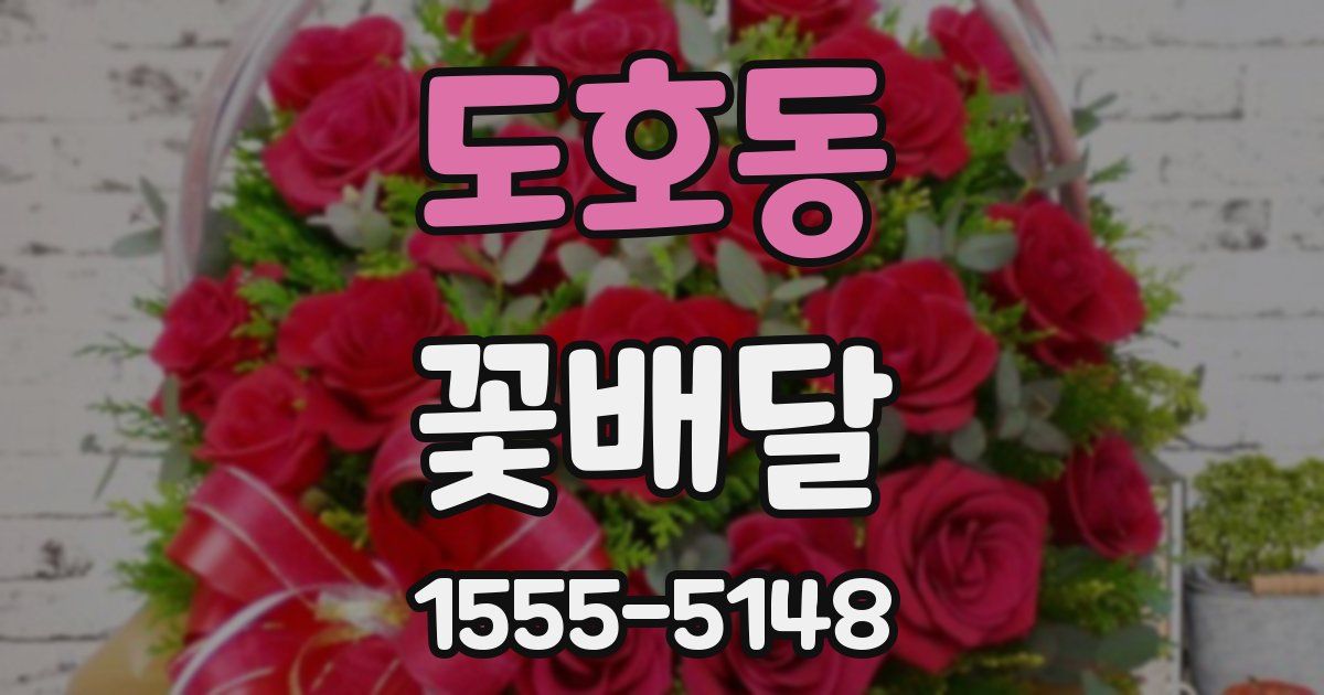 도호동 꽃배달