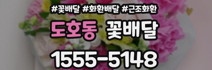 도호동 꽃배달
