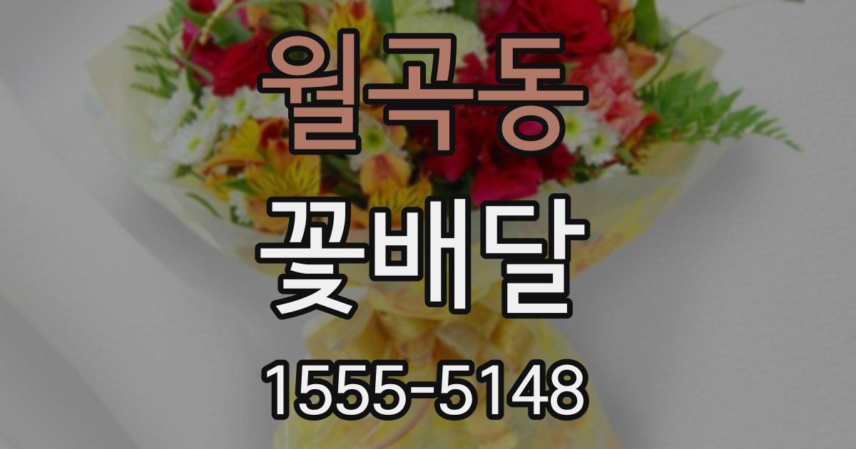 월곡동 꽃배달