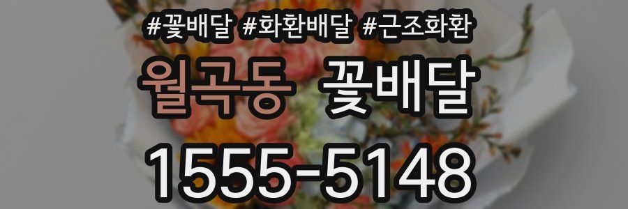 월곡동 꽃배달