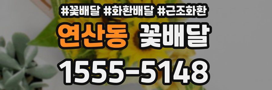 연산동 꽃배달