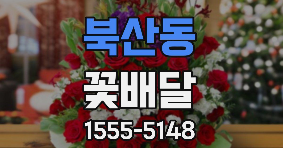 북산동 꽃배달