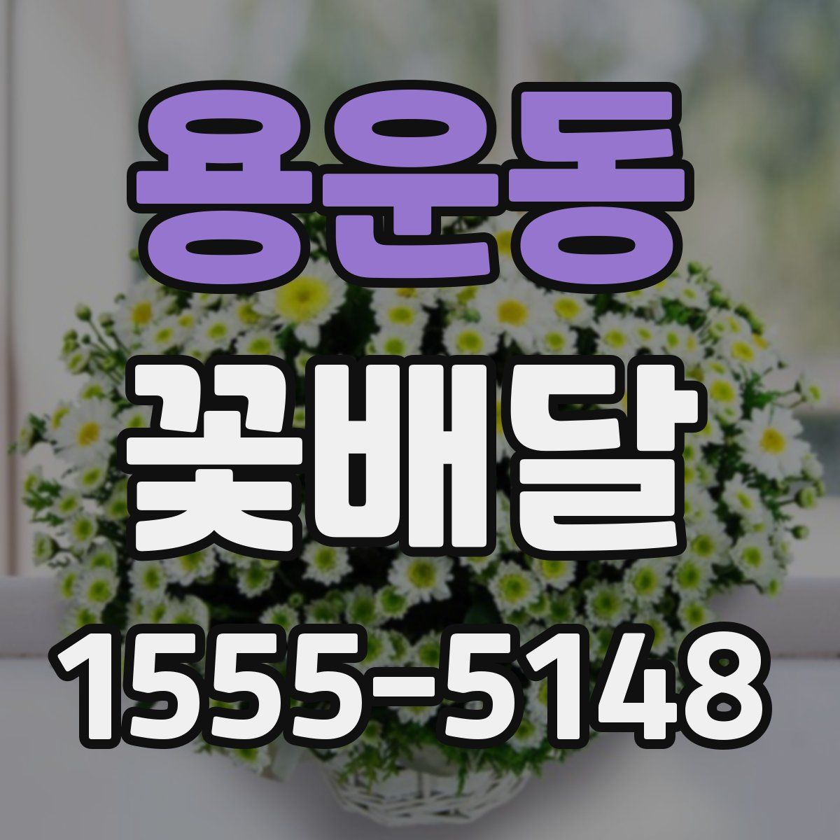 용운동 꽃배달