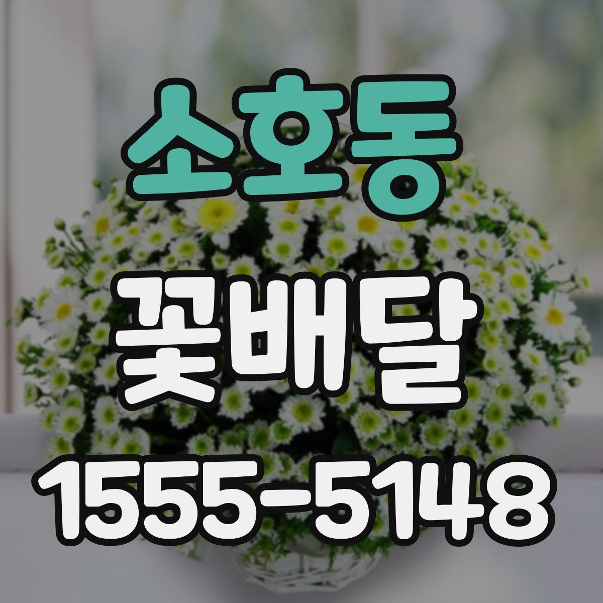 소호동 꽃배달