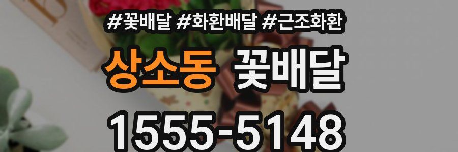 상소동 꽃배달
