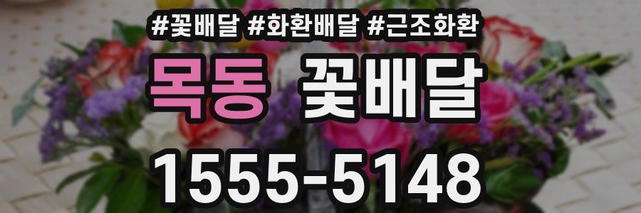 목동 꽃배달