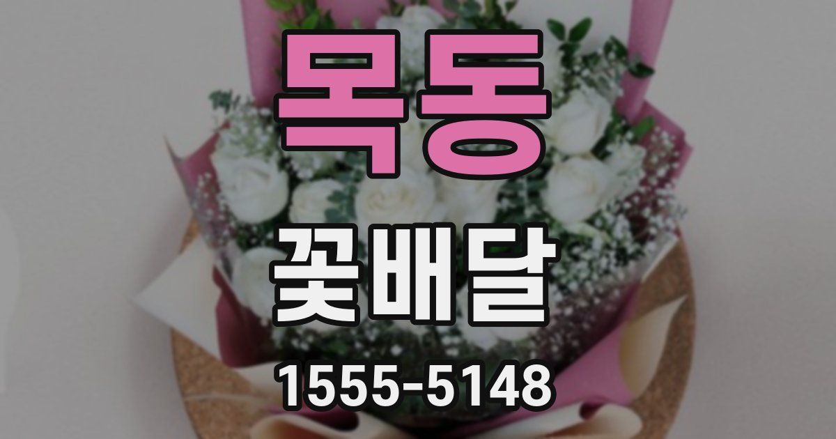 목동 꽃배달