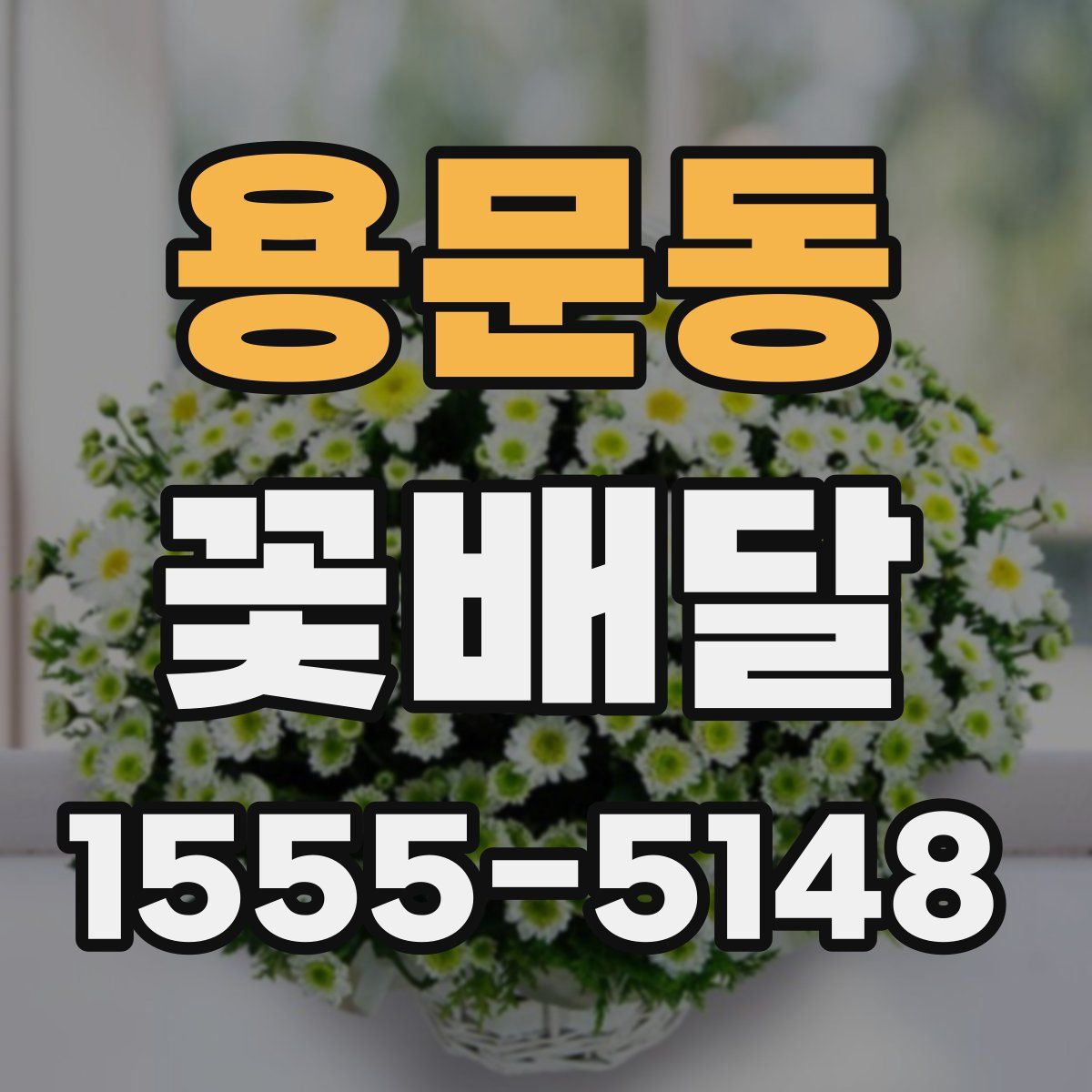 용문동 꽃배달