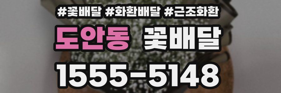 도안동 꽃배달