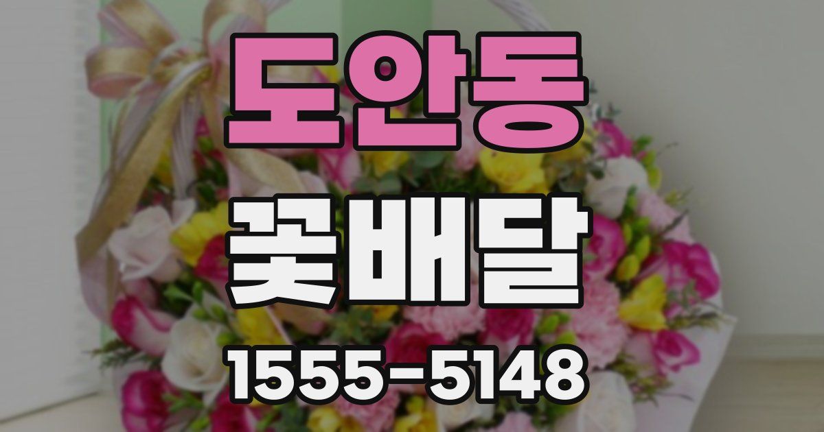 도안동 꽃배달