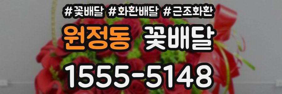 원정동 꽃배달