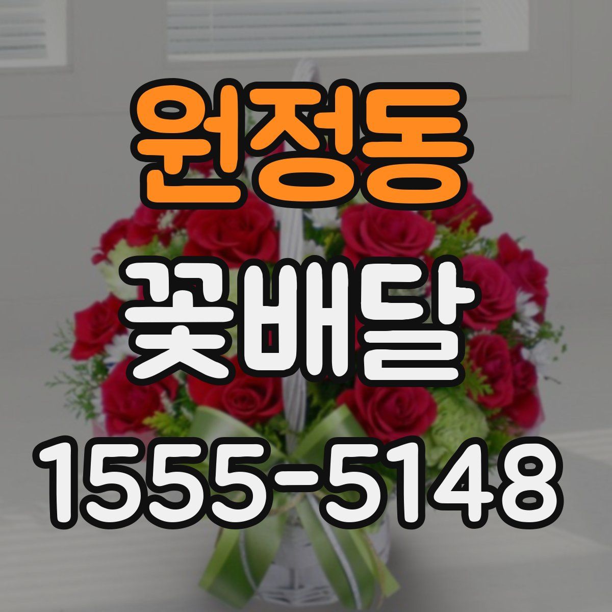 원정동 꽃배달