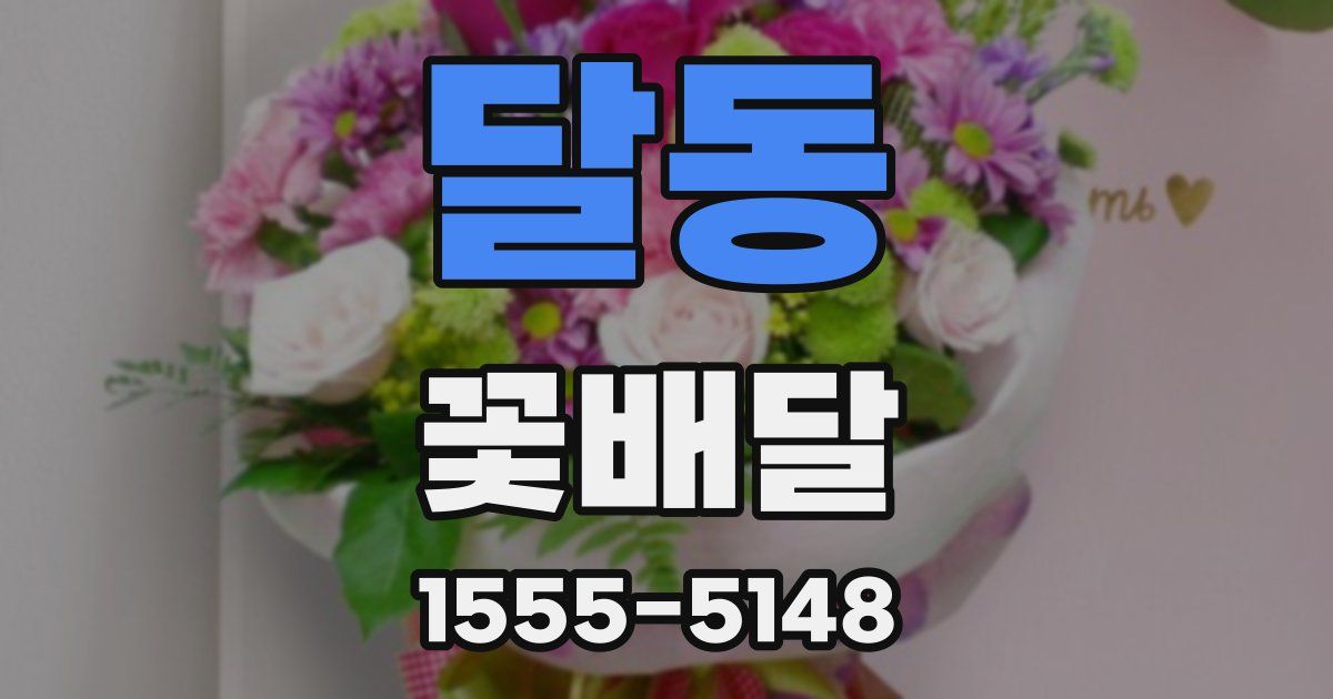 달동 꽃배달