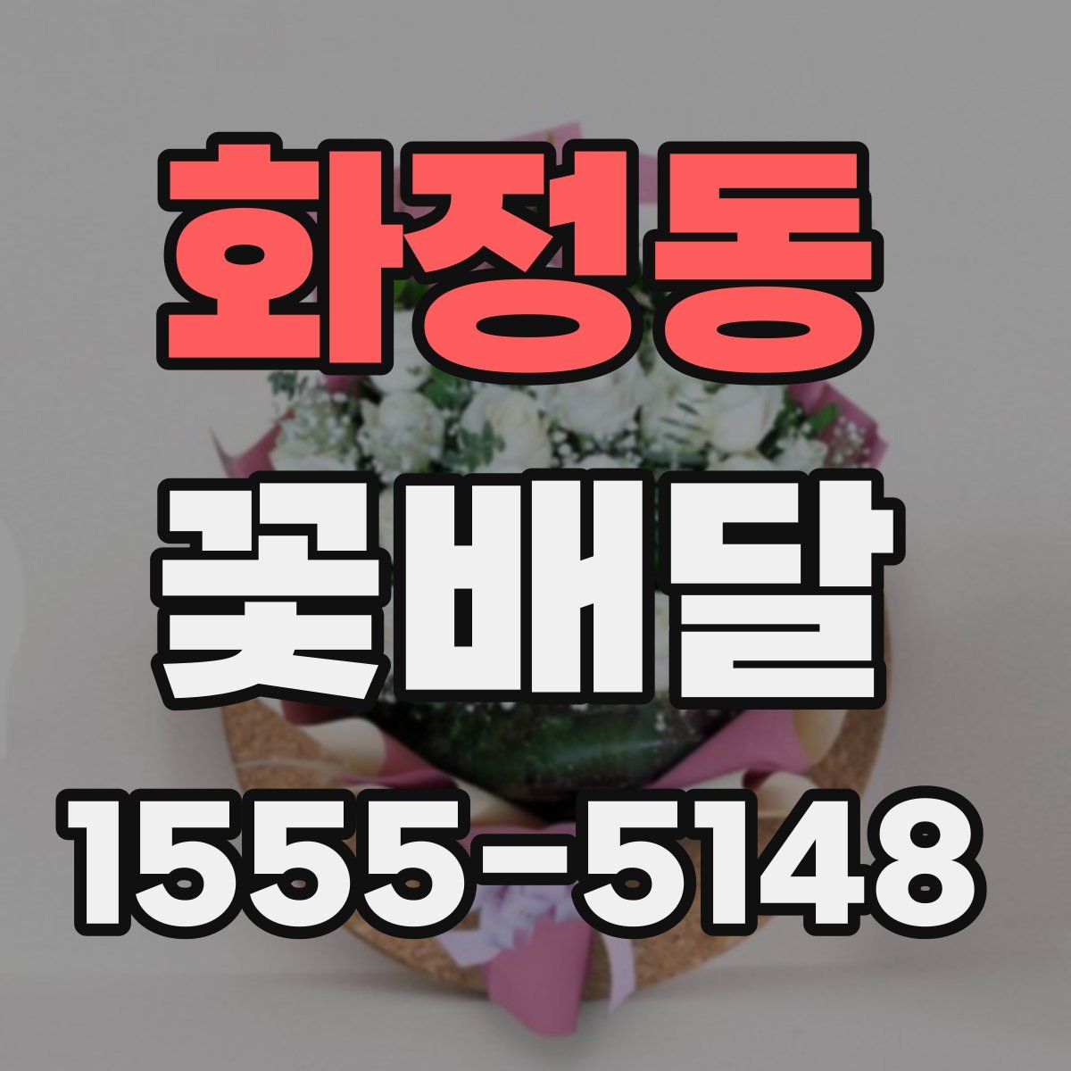화정동 꽃배달