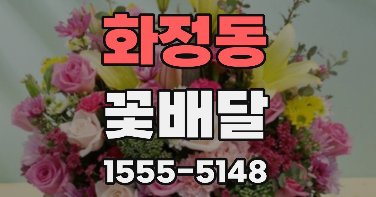 화정동 꽃배달