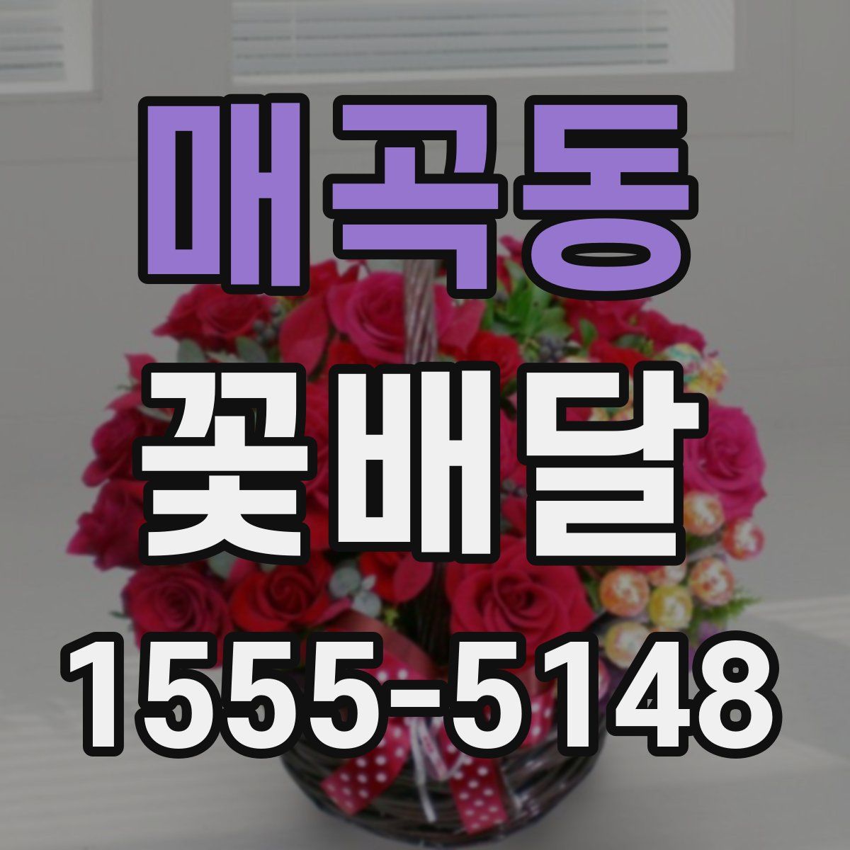 매곡동 꽃배달
