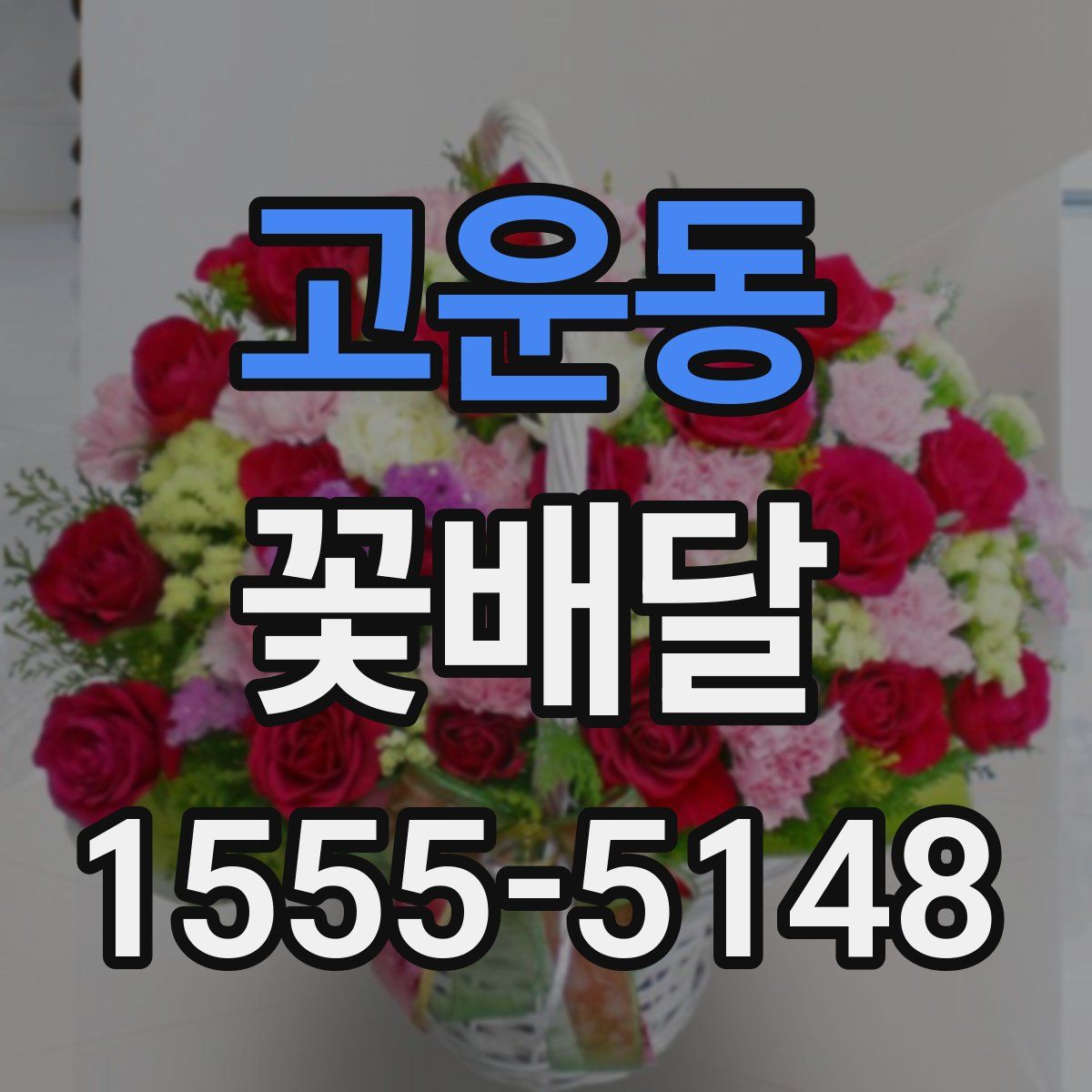 고운동 꽃배달