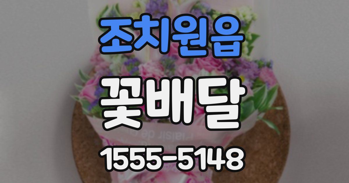 조치원읍 꽃배달