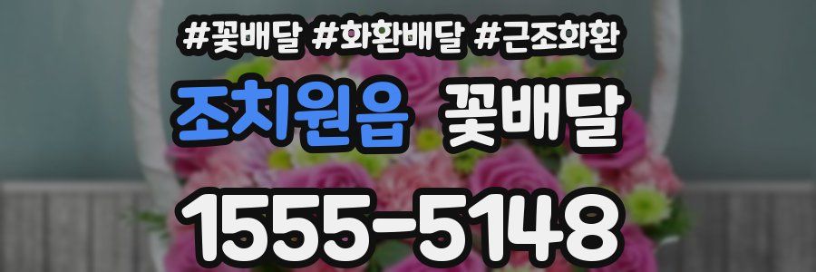 조치원읍 꽃배달