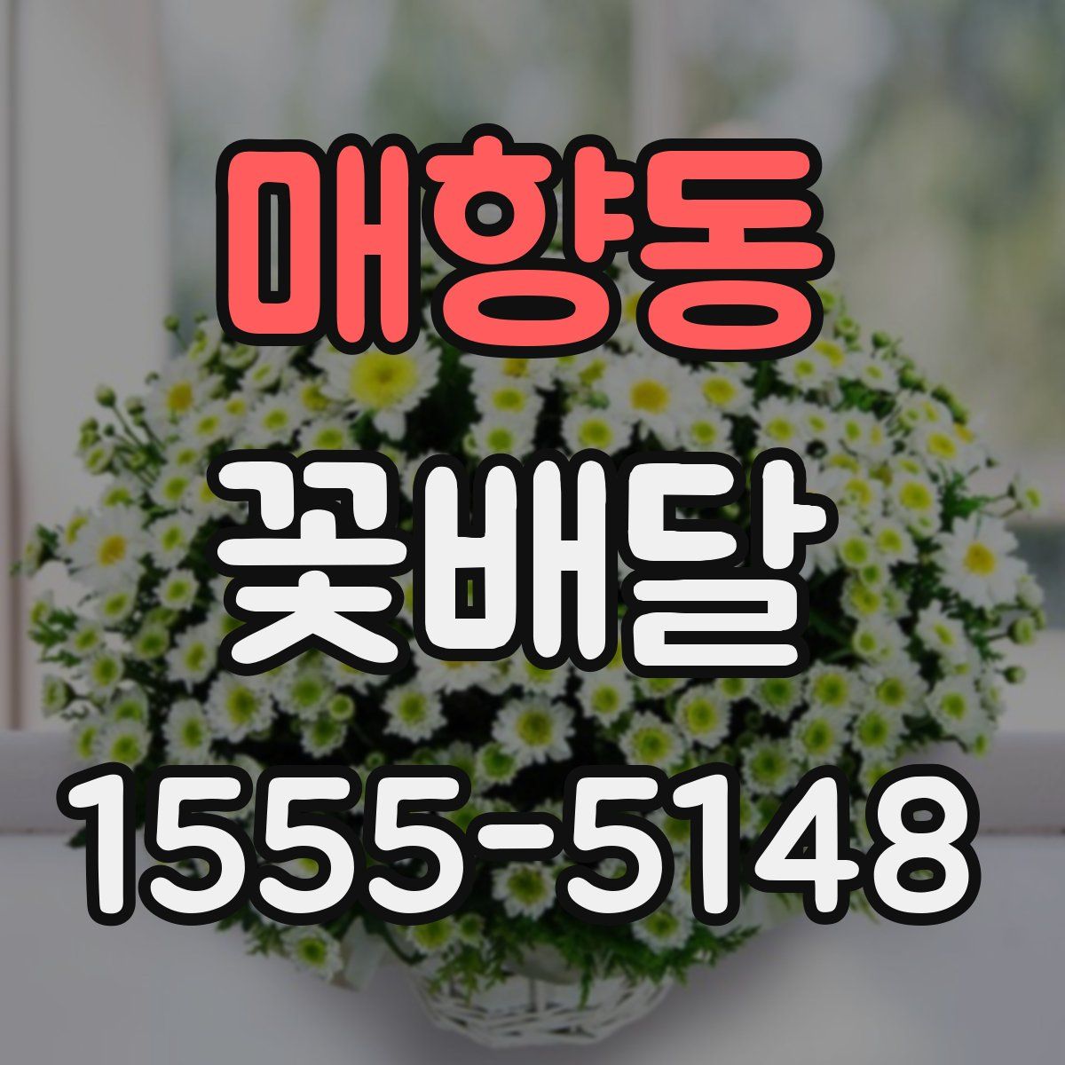매향동 꽃배달