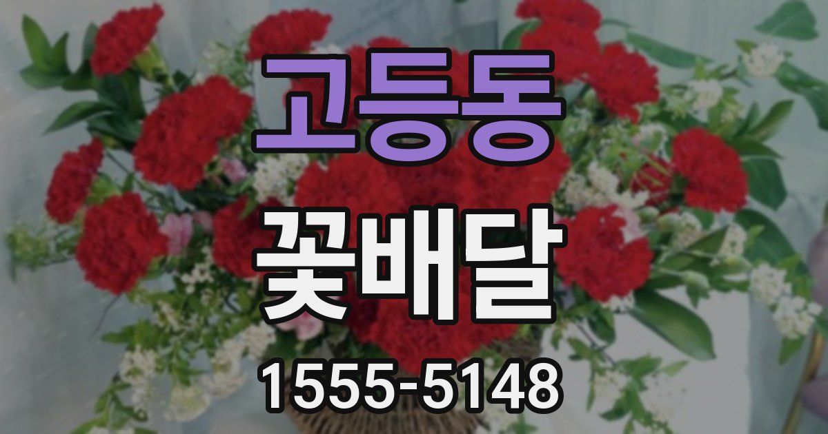 고등동 꽃배달