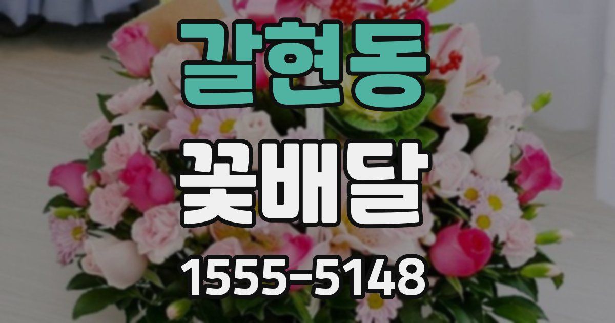 갈현동 꽃배달