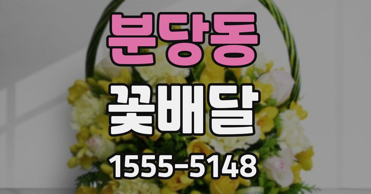 분당동 꽃배달
