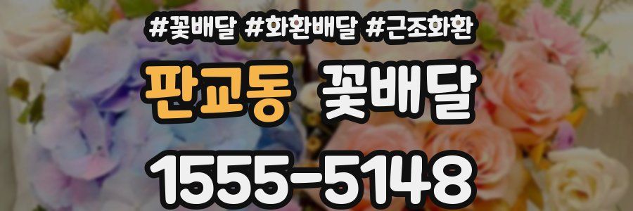 판교동 꽃배달