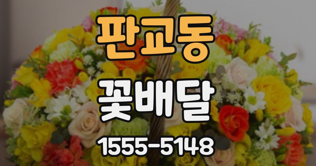 판교동 꽃배달