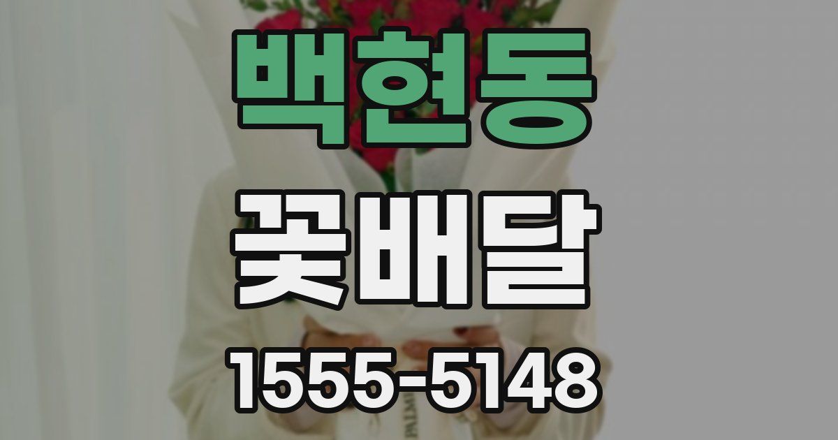 백현동 꽃배달