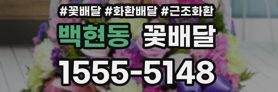 백현동 꽃배달