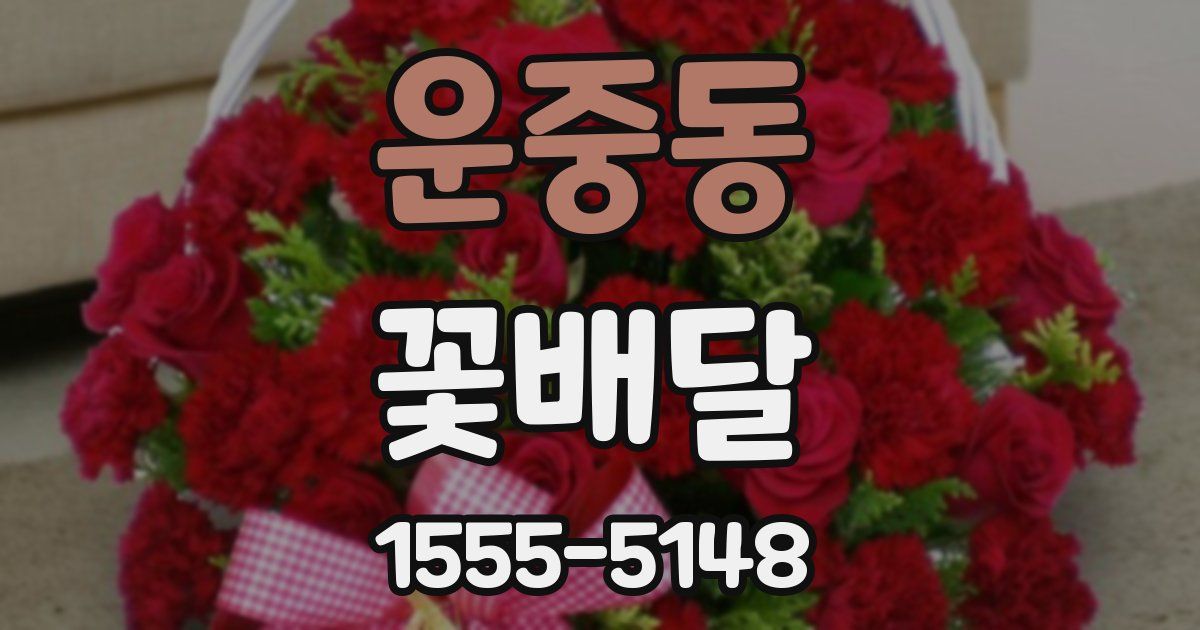 운중동 꽃배달