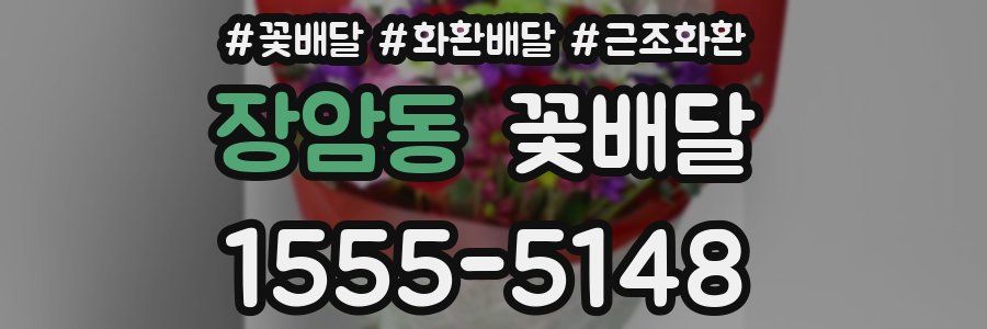 장암동 꽃배달