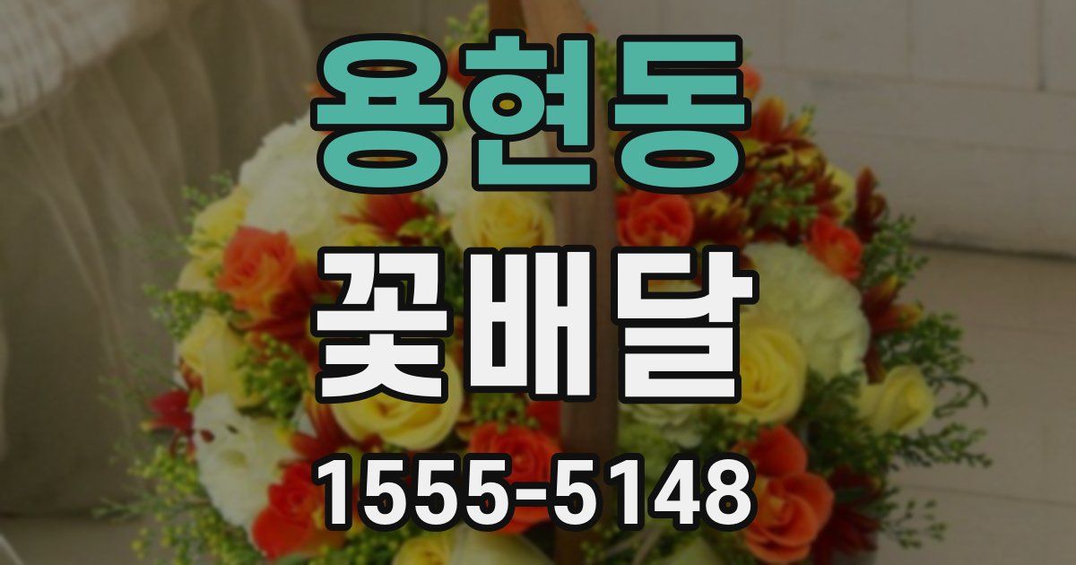 용현동 꽃배달