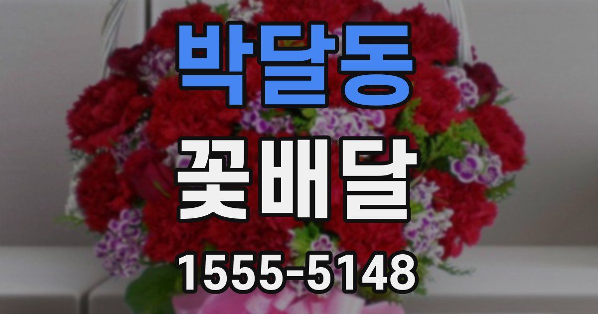 박달동 꽃배달