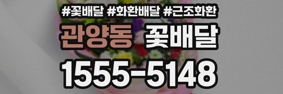 관양동 꽃배달